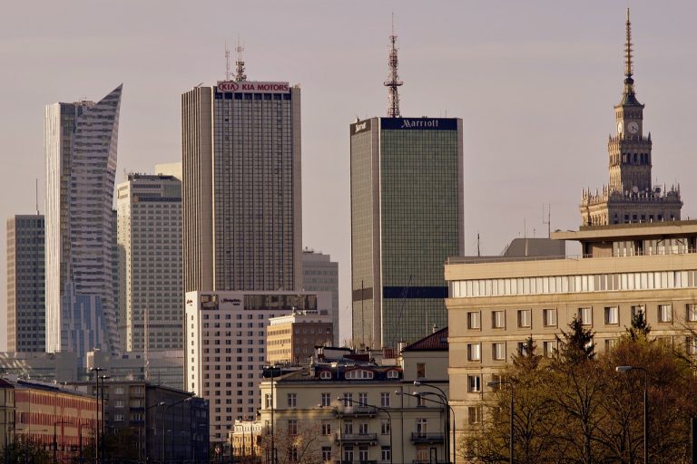 Jak wygląda rynek firm szkoleniowych w Polsce?